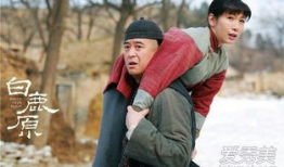 白鹿原电视剧剧情介绍,家族恩怨，命运交织的百年传奇