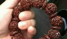 国产精品金刚菩提