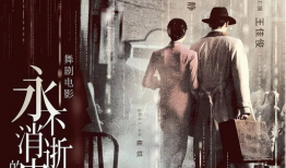 电视剧永不消逝的电波,永不消逝的电波传奇