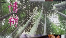 电视剧亲情树,枝繁叶茂，守望岁月长河