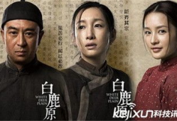 白鹿原电视剧剧情介绍,家族恩怨，命运交织的百年传奇
