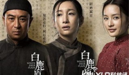 白鹿原电视剧剧情介绍,家族恩怨，命运交织的百年传奇