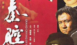 大秦腔电视剧剧情介绍,烽火岁月里的民族传奇