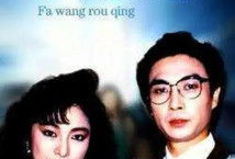 电视剧法网柔情,正义与情感的交织